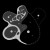 3.np-inverze